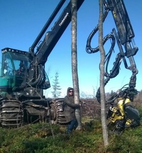 No Nukes treehugger halts Finland site prep. Photo by Taina Mäntykenttä